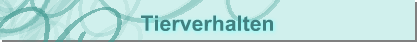 Tierverhalten