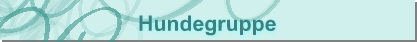 Hundegruppe